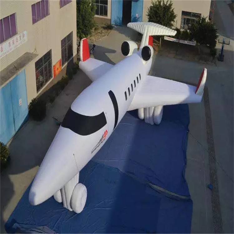 任县充气模型飞机